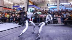 为“人工智能教父”的杰弗里·辛顿每年城市正在